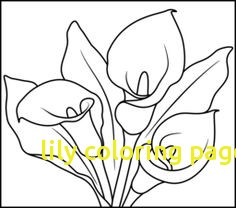 Lily Coloring Pages Free Archives 236x208 Lily Coloring Pages Free Archives