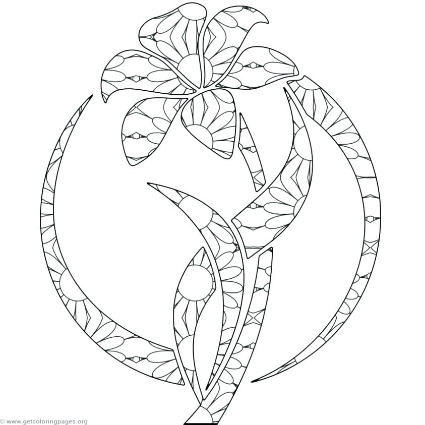 843x843 Lily Coloring Pages Coloring Page Frog Lily Pad Coloring Page Lily