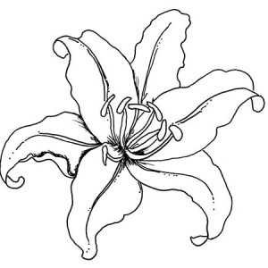 300x300 A Group Of Flower Coloring Page A Group Of Flower Coloring Page