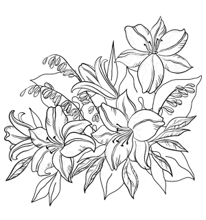 300x320 Valuable Ideas Lily Coloring Pages Flowers