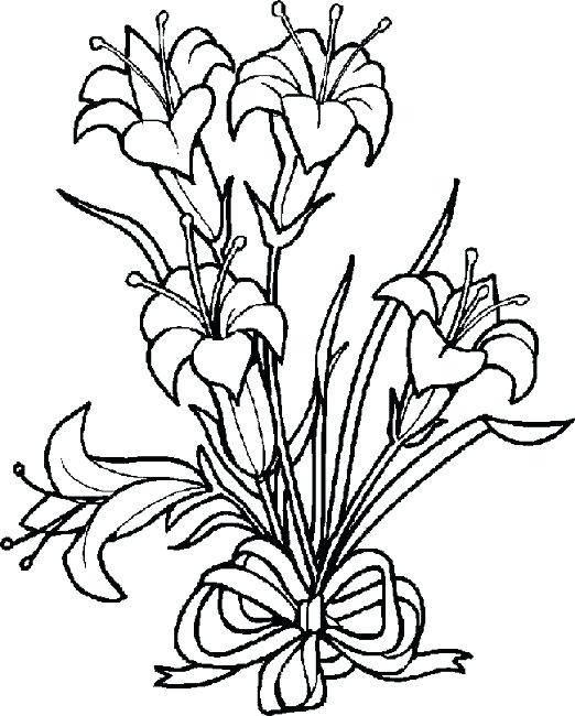 522x650 Lily Flower Coloring Pages
