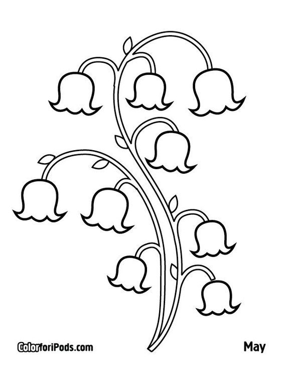 564x729 Lily Of The Valley Coloring Page Lily Of The Valley Flower