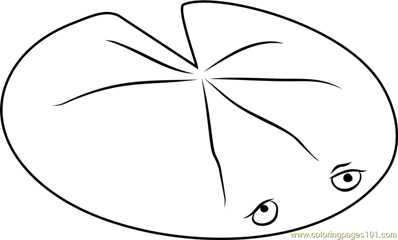 800x483 Lily Pad Coloring Page