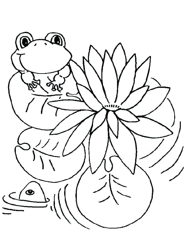 600x783 Lily Pad Coloring Page Coloring Pages Of Frogs And Lily Coloring