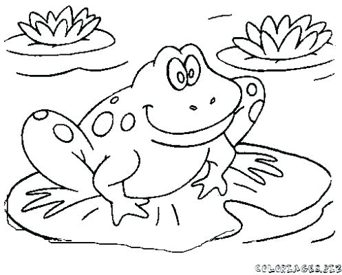 497x400 Lily Pad Coloring Page Ideas Lily Pad Coloring Page For Frog