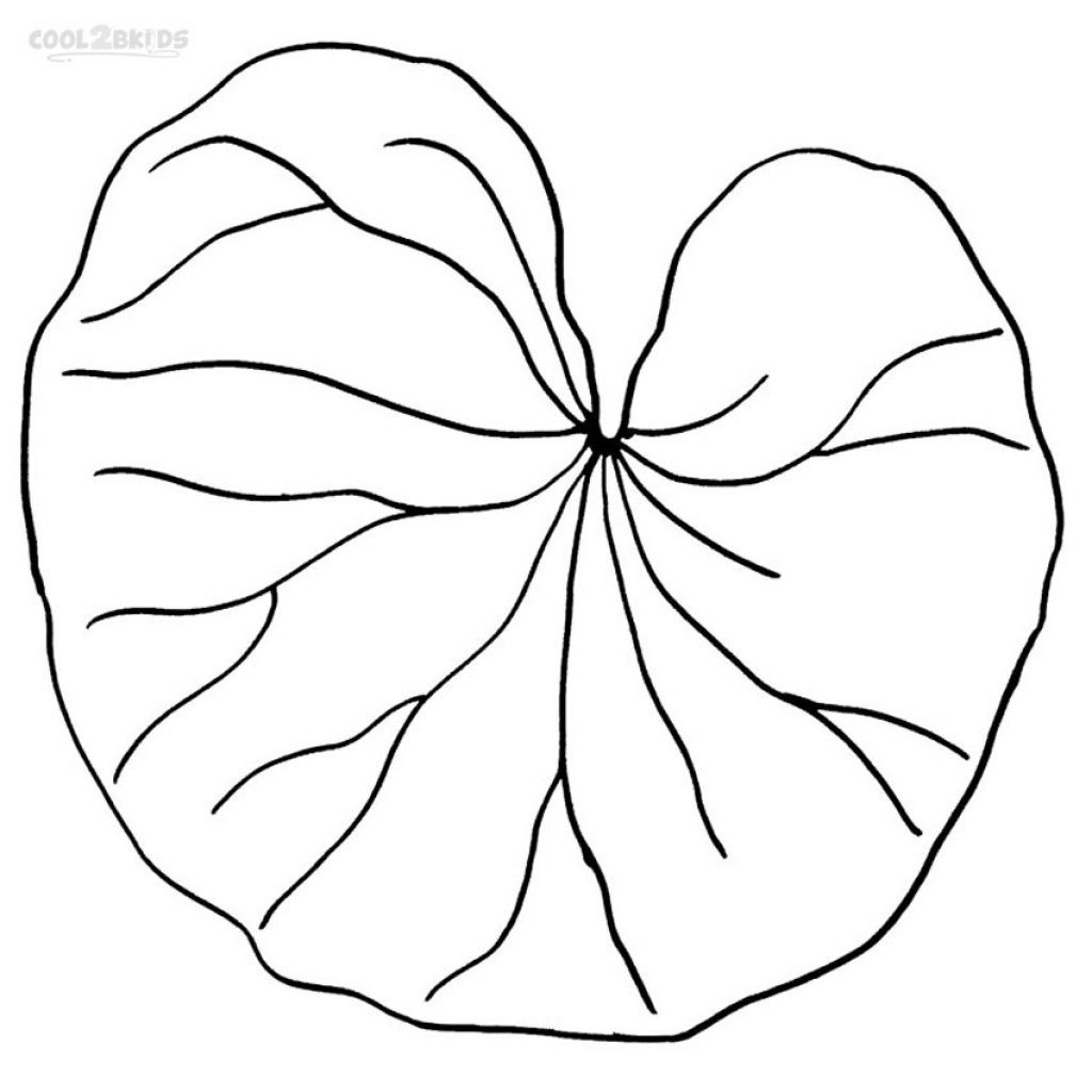 1024x1024 Agreeable Lily Pad Coloring Page Colouring For Cure Frog And Lily