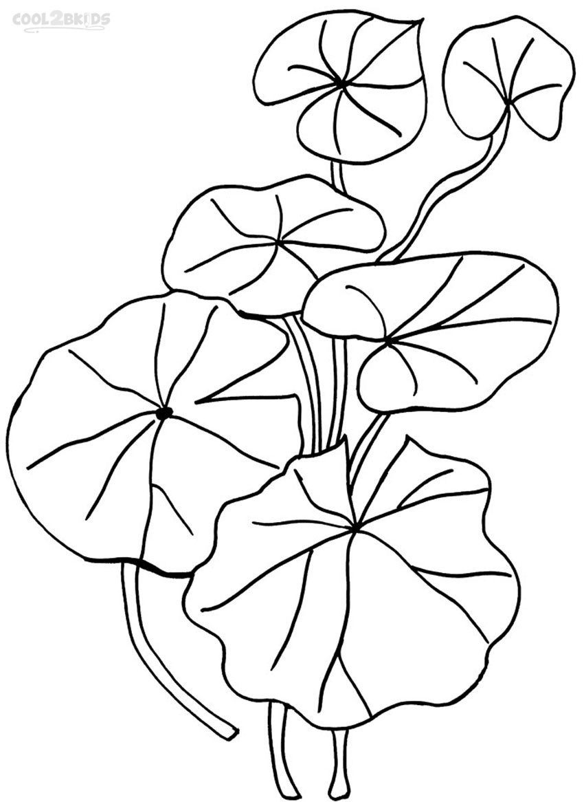 850x1166 Lily Pad Coloring Page Paginone Biz Lovely Pages