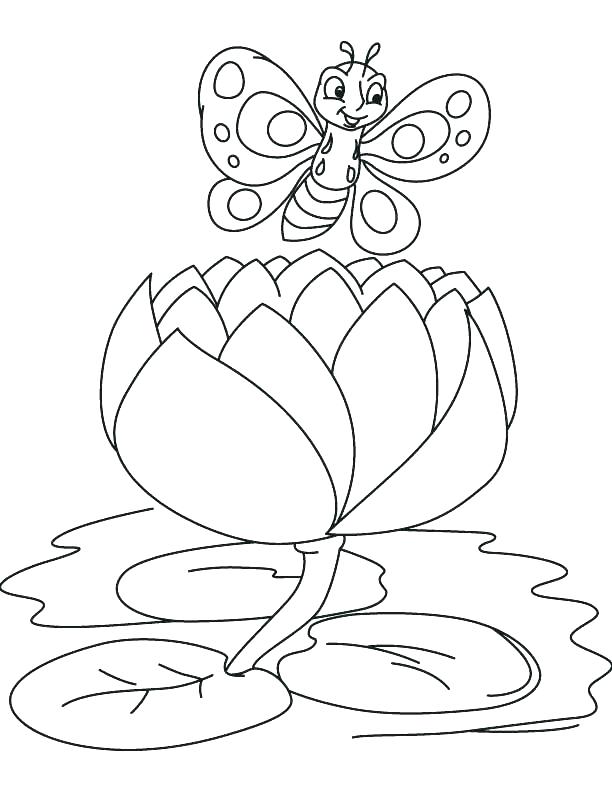 612x792 Lily Pad Coloring Page