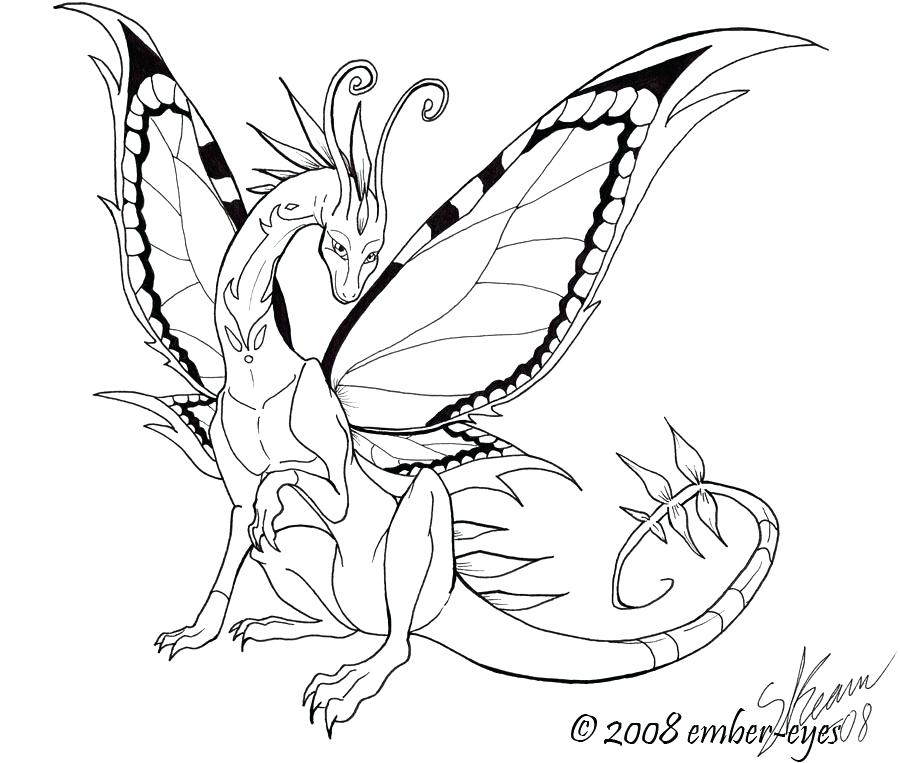 900x763 Butterfly Dragon Line Art By Ember Eyes On City Of Ember Coloring