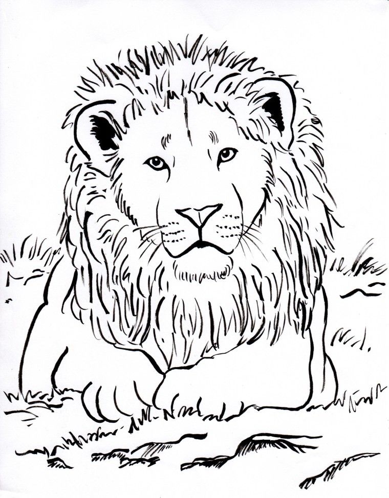Week 3 Upside Down Lots Of Animal Coloring Pages Lion Coloring 760x974 Week 3 Upside Down Lots Of Animal Coloring Pages Lion Coloring