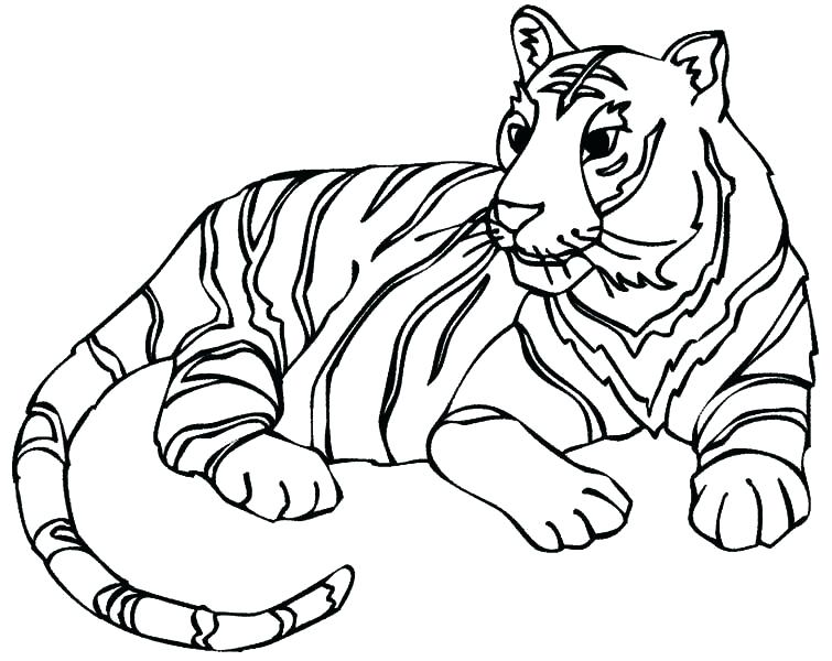Lion And Tiger Coloring Pages at GetColorings.com | Free printable ...