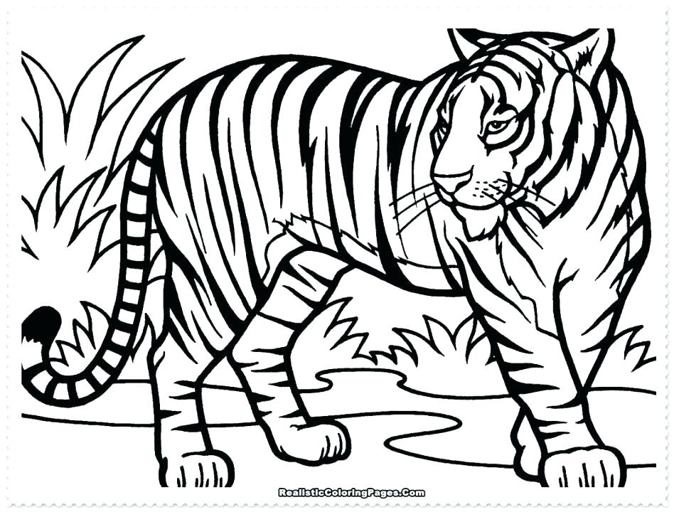 Coloring Pages Of Tigers Tiger Printable Coloring Pages Tiger 948x720 Coloring Pages Of Tigers Tiger Printable Coloring Pages Tiger