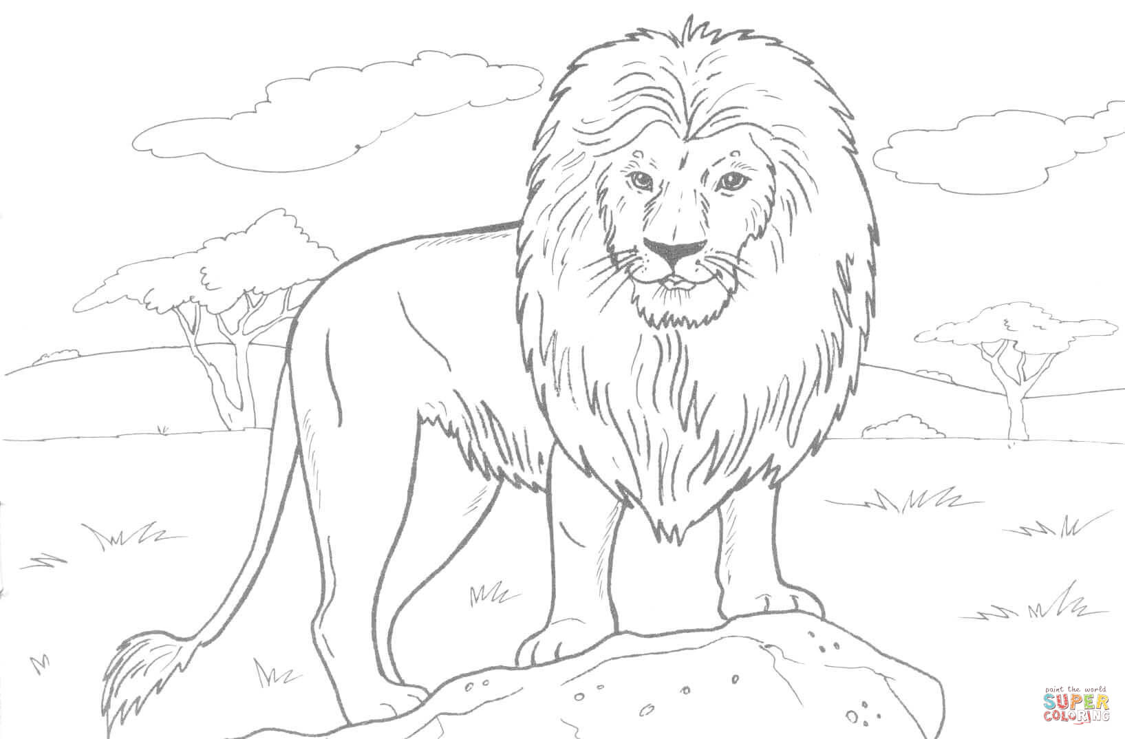 1635x1074 Absolutely Smart Lion Coloring Pages For Adults To Print National