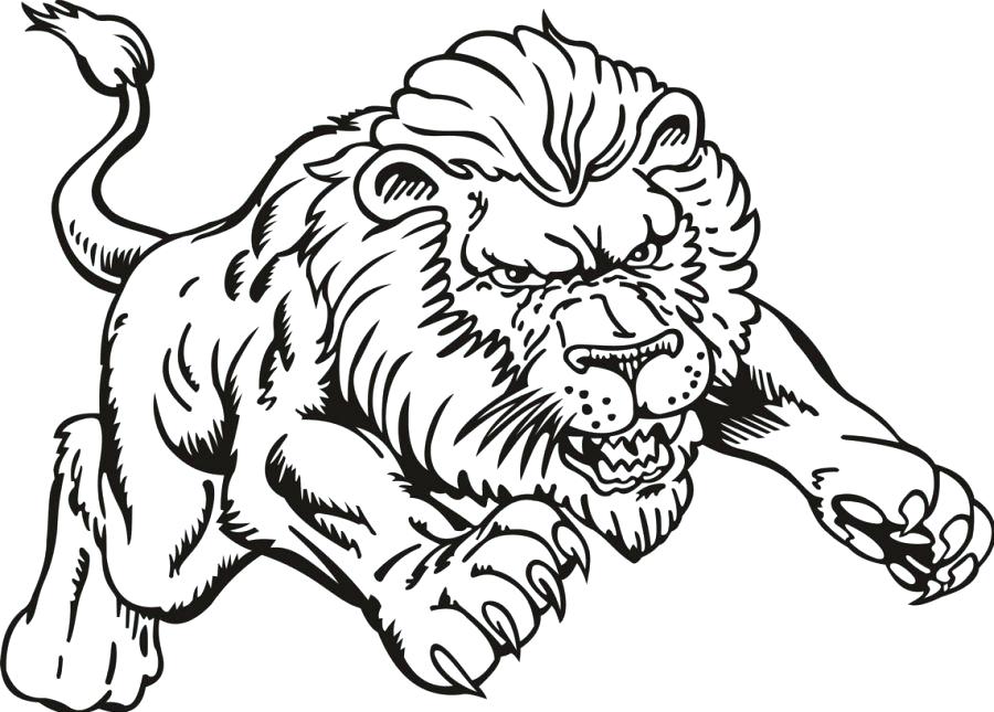 900x645 African Lion Coloring Page Coloring Lion African Lion Colouring