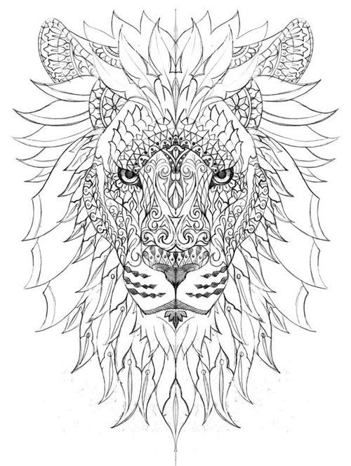 500x664 36 Best Lion Calavera Images On Coloring Pages, Adult