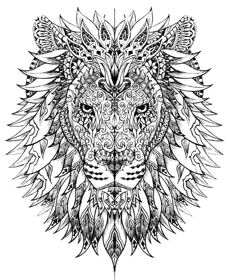 736x901 Stress Relief Coloring Pages Lion Printable