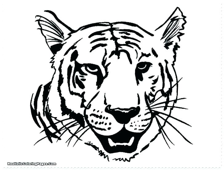Lion Coloring Pages Printable New Lion Coloring Pages Awesome 728x553 Lion Coloring Pages Printable New Lion Coloring Pages Awesome