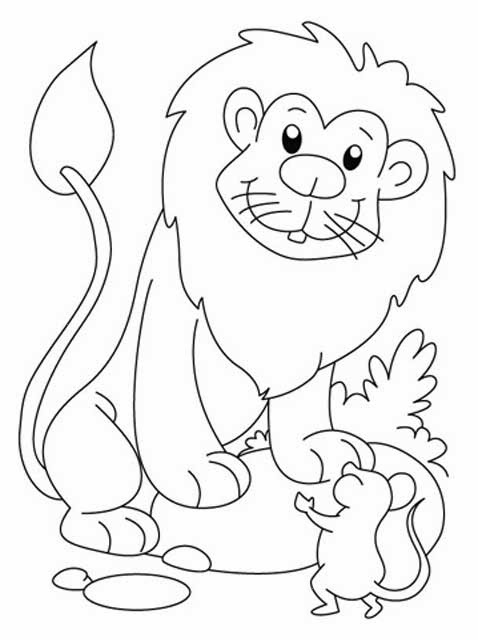 The Lion And The Mouse Coloring Pages The Lion And The Mouse Story 478x640 The Lion And The Mouse Coloring Pages The Lion And The Mouse Story