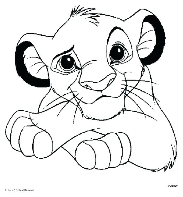 Lion Coloring Page 600x646 Lion Coloring Page