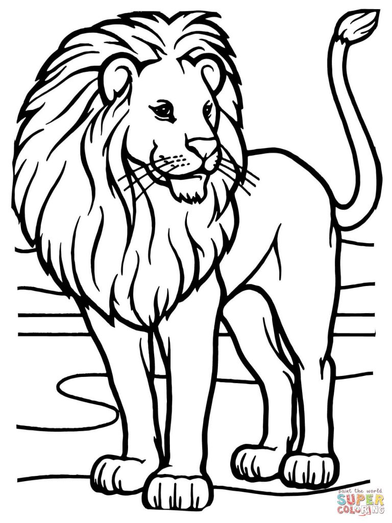 Coloring Picture Of A Lion 768x1024 Coloring Picture Of A Lion