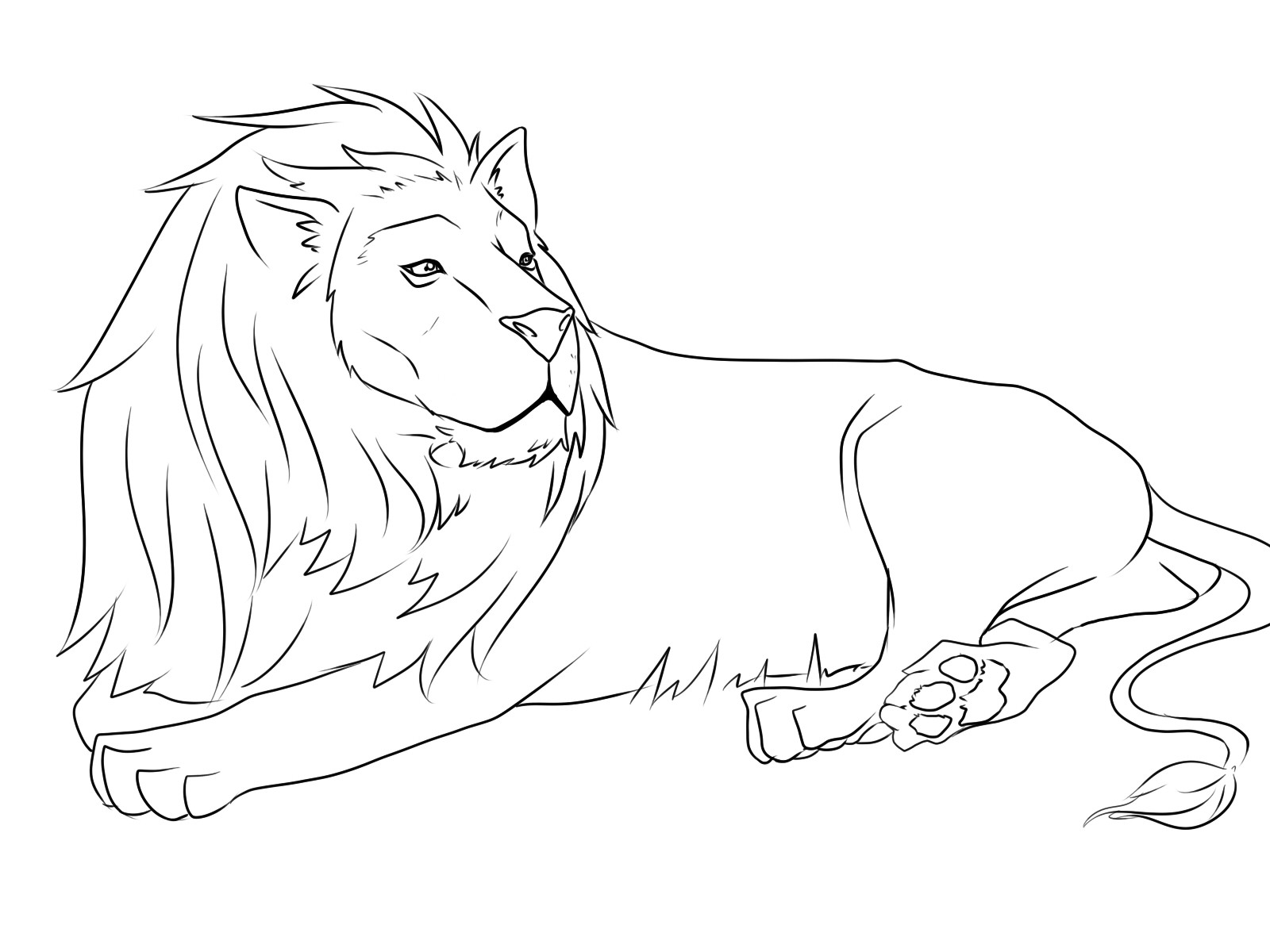 Lion Coloring Pages Printable Http Procoloring Com Outstanding 1600x1200 Lion Coloring Pages Printable Http Procoloring Com Outstanding