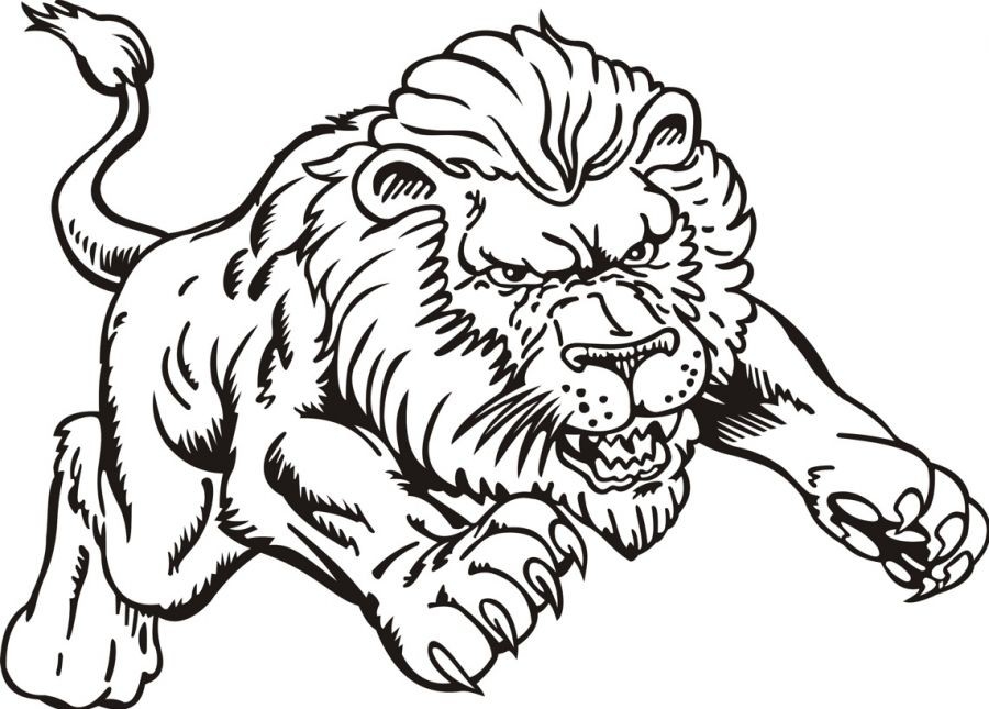 Lion Coloring Pages Printable Lion Coloring Pictures Lion Coloring 900x645 Lion Coloring Pages Printable Lion Coloring Pictures Lion Coloring
