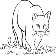 Top 20 Free Printable Lion Coloring Pages Online 230x230 Top 20 Free Printable Lion Coloring Pages Online