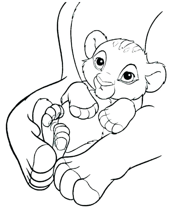 Baby Lion Coloring Pages 700x828 Baby Lion Coloring Pages