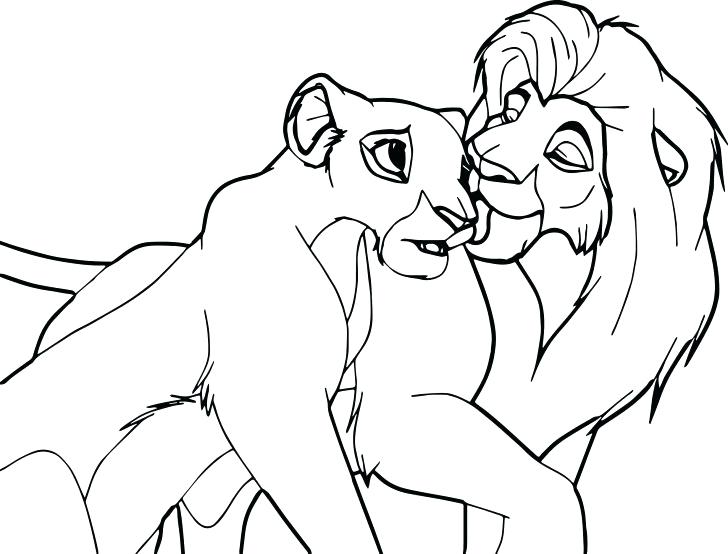 Sea Lion Coloring Pages Impair.co 728x554 Sea Lion Coloring Pages Impair.co