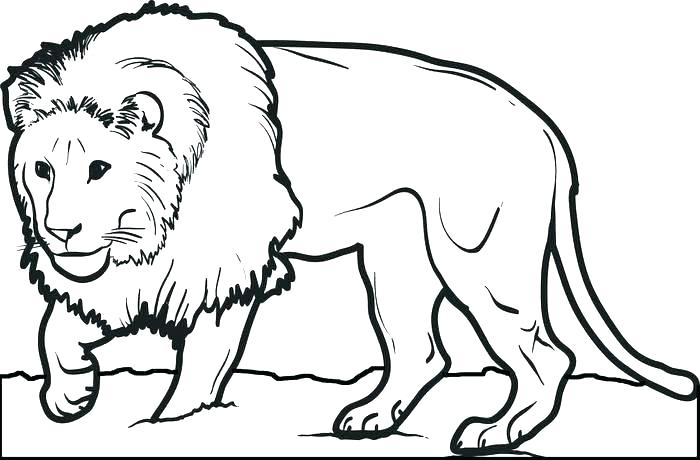Lion Coloring Pages To Print