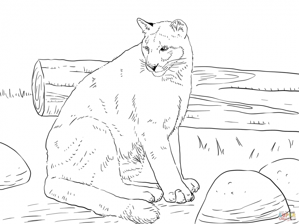 960x720 Get This Mountain Lion Coloring Pages Printable 75997 !