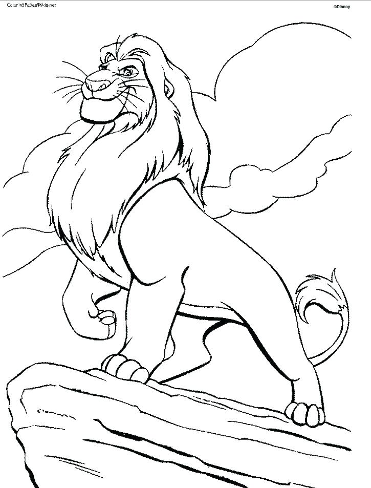 725x953 Lion Coloring Page Simple Lion Coloring Pages Print King Color