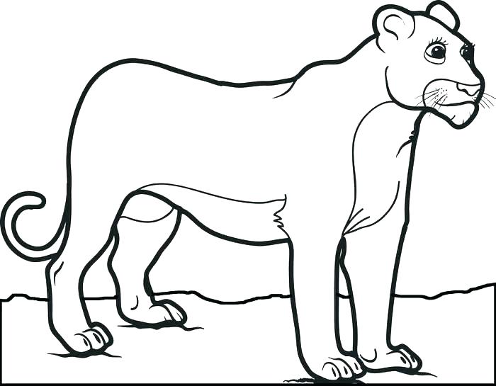 700x545 Lion Coloring Pages Printable Abstract Coloring Pages Lion