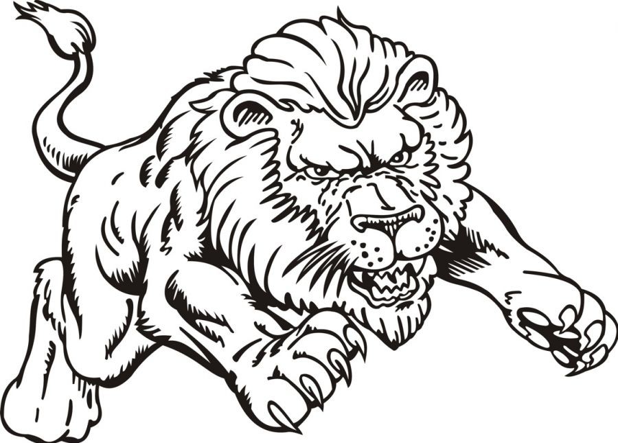 900x645 Lion Coloring Pictures Lion Coloring Page Lion Color Page Vitlt
