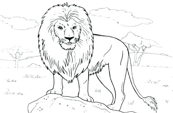 600x393 The Rock Coloring Pages Lion Coloring Pages To Print Lion Standing