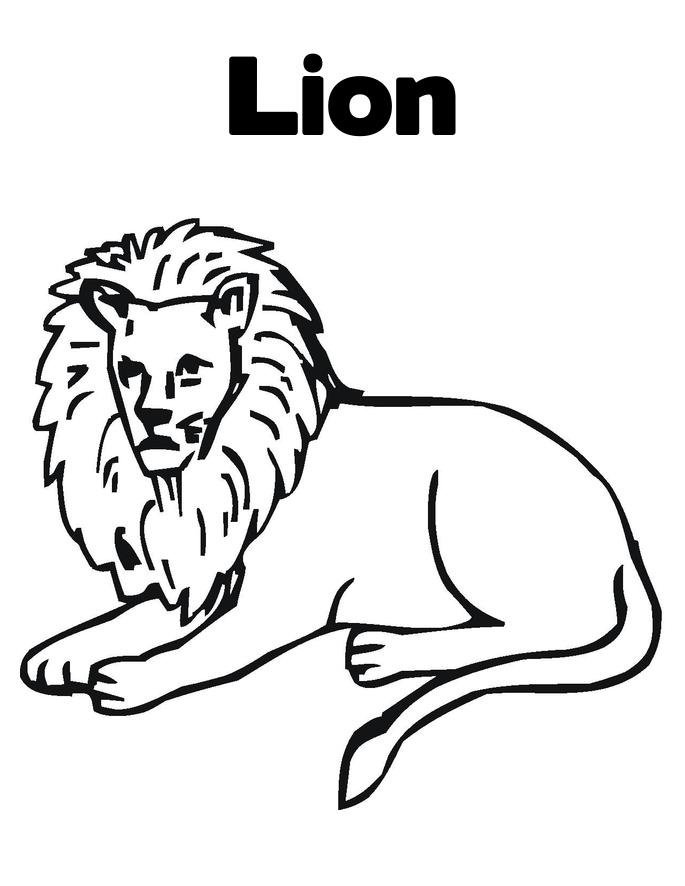 Free Printable Lion Coloring Pages For Kids 685x886 Free Printable Lion Coloring Pages For Kids