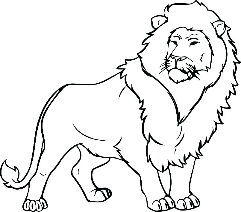 Lion Cub Coloring Pages at GetColorings.com | Free printable colorings ...