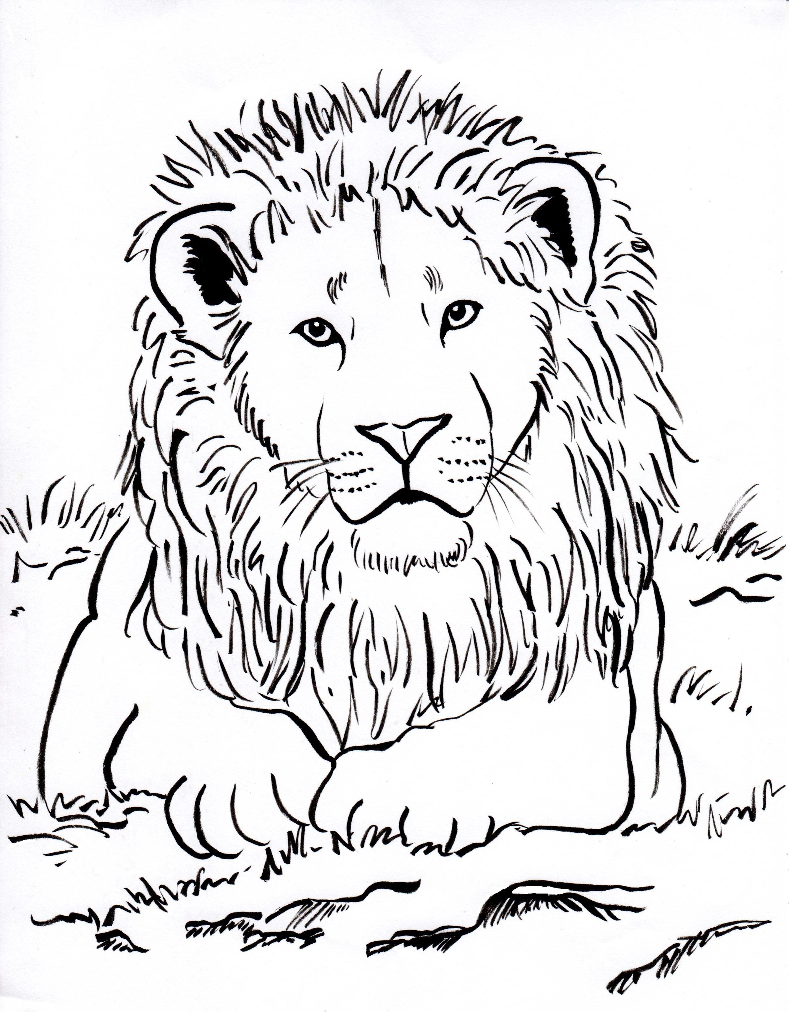 2550x3269 Coloring Pages Lion Face Coloring Page Fun