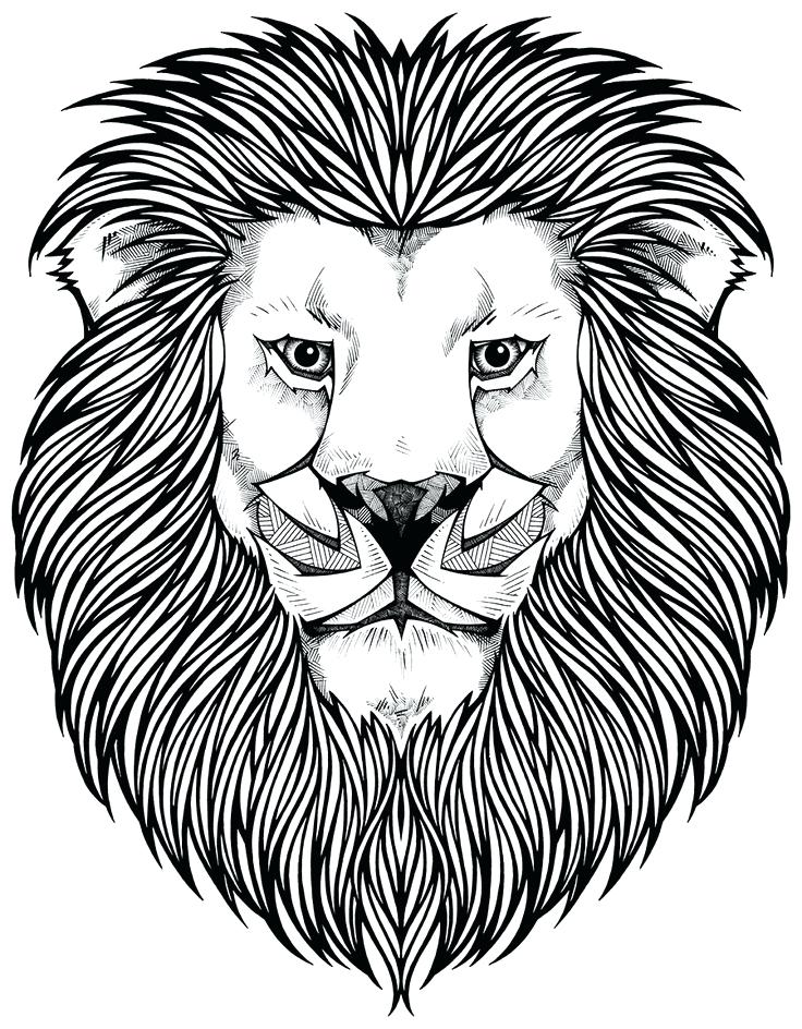736x944 Lion Head Coloring Pages Coloring Page Lion Face Best Pages Ideas