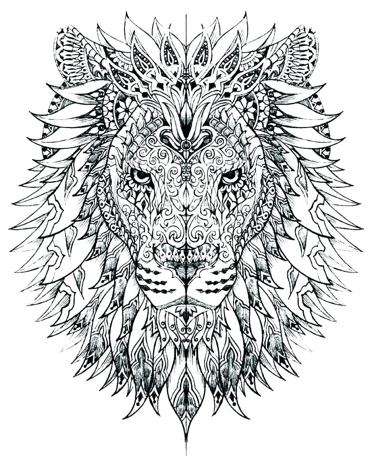 Coloring Pages Of Lions Lion Face Coloring Page Lion Head Coloring 736x901 Coloring Pages Of Lions Lion Face Coloring Page Lion Head Coloring