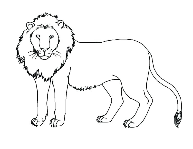 Lion Head Coloring Page at GetColorings.com | Free printable colorings ...