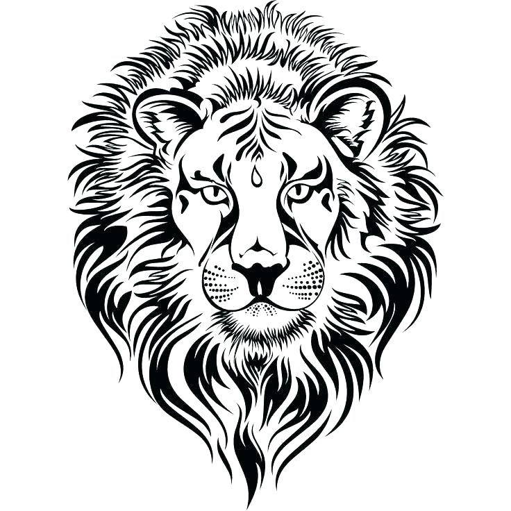 Lion Face Coloring Page Lion Head Coloring Page Lion Head Coloring 736x736 Lion Face Coloring Page Lion Head Coloring Page Lion Head Coloring