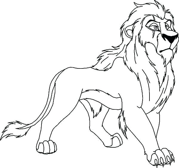 Lion King Coloring Page 600x562 Lion King Coloring Page