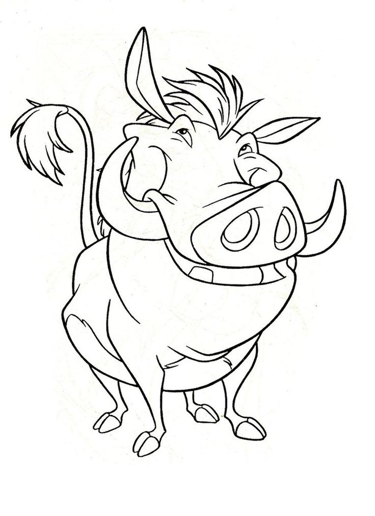 11 Best Y Blank Pattern ~ Lion King Images On Coloring 736x1012 11 Best Y Blank Pattern ~ Lion King Images On Coloring