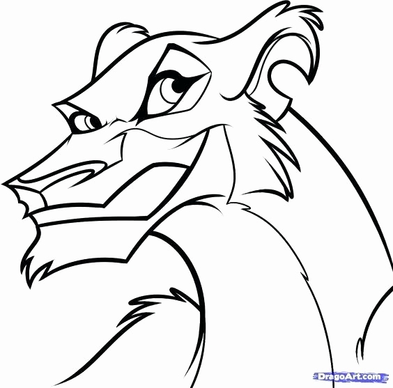Kovu Coloring Pages Gallery Lion King Coloring Page Beautiful Lion 564x557 Kovu Coloring Pages Gallery Lion King Coloring Page Beautiful Lion