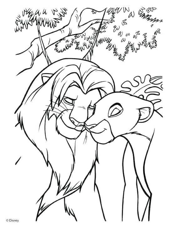 540x728 The Lion King Coloring Pages The Lion King Coloring Book Lion King