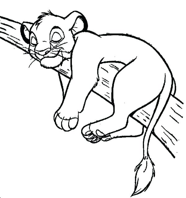 600x639 Simba Color Bot Sleeping On Branch Of Tree Lion King Coloring Page