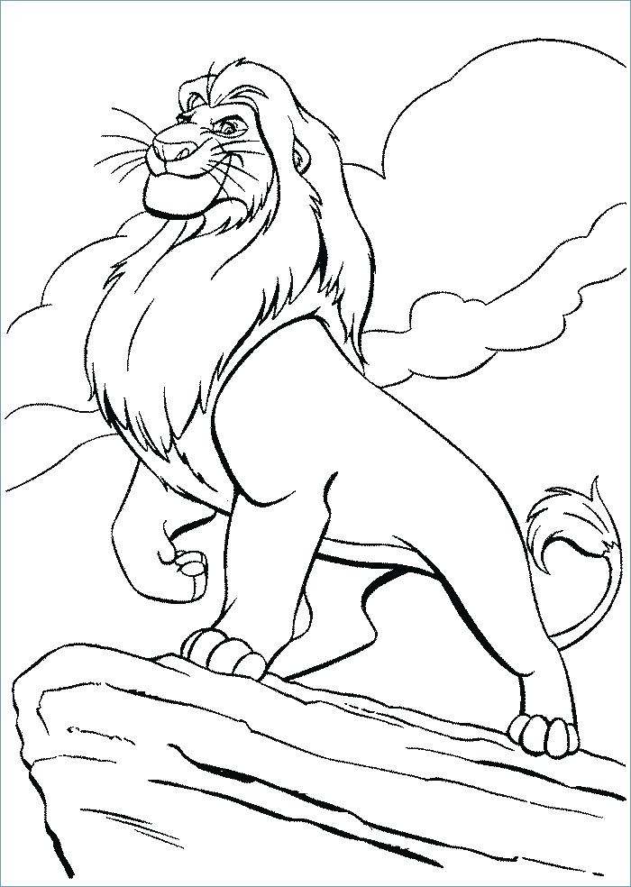 700x984 Lion King Coloring Page