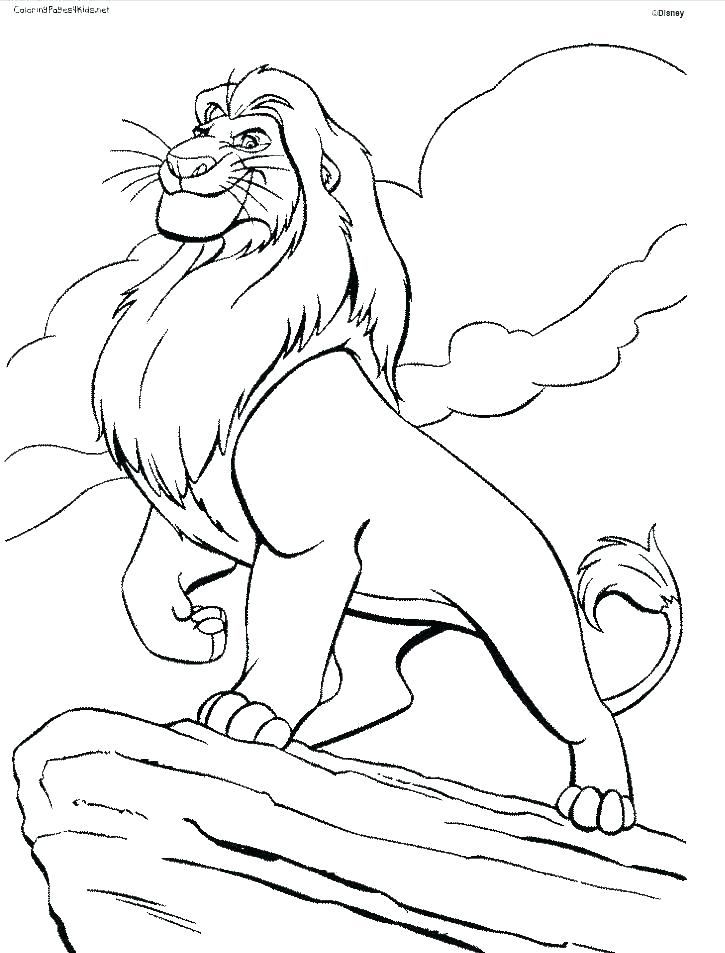 Lion King Printable Coloring Pages 725x953 Lion King Printable Coloring Pages