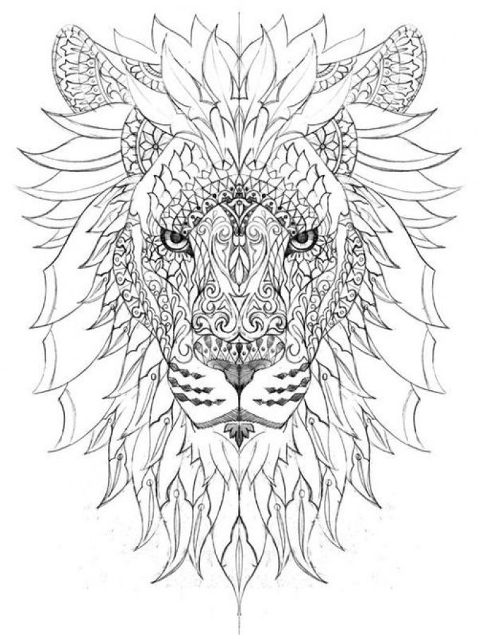 Impressive Dodle Art Of Lion Difficult Coloring Pages For Adults 677x900 Impressive Dodle Art Of Lion Difficult Coloring Pages For Adults